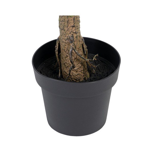 Eucalipto artificiale (altezza 173 cm) Eucalyptus - Ixia-image-4