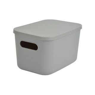 Articoli verde con coperchio per la cucina e bar | Acquisti Online su