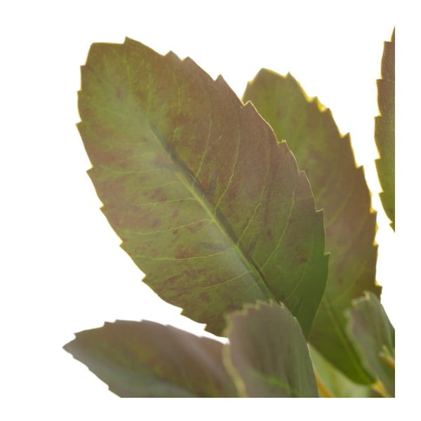 Ramoscello artificiale (altezza 37 cm) Lemon Tree - Ixia-image-2