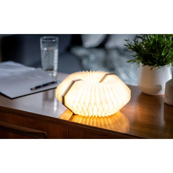 Decorazione luminosa colore naturale chiaro con ricarica USB Accordion – Gingko-image-3