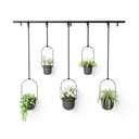 Set di coprivaso in plastica per erbe aromatiche/da appendere/parete 5 pz ø 7,5 cm Triflora – Umbra
