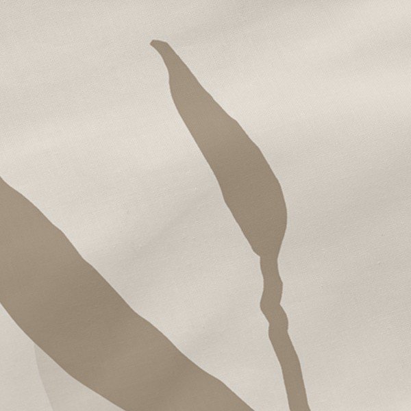 Federe in cotone in set da 2 50x75 cm Maple - Blanc-image-1