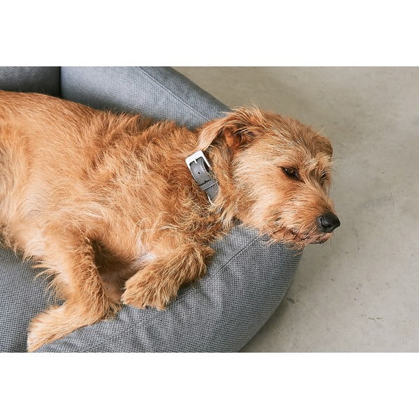 Cuccia per cani marrone 55x70 cm Mare Kelp S - MiaCara-image-3