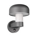 Illuminazione esterna con sensore di movimento da parete (altezza totale 24,5 cm) Fraser – Trio