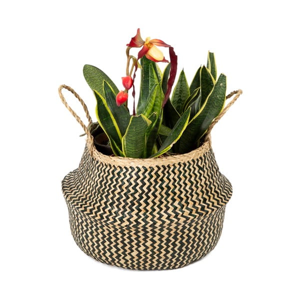 Cestino in seagrass , ⌀ 35 cm Zic Zac - Compactor-image-1