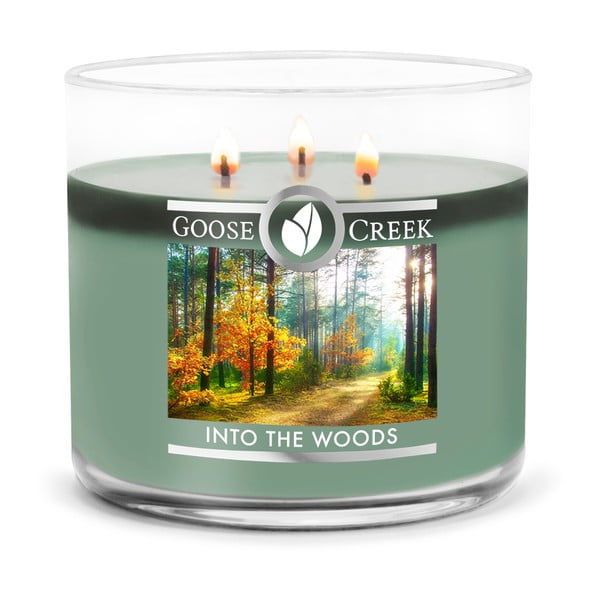 Candela profumata Into the Woods in scatola di vetro, 35 ore di combustione - Goose Creek