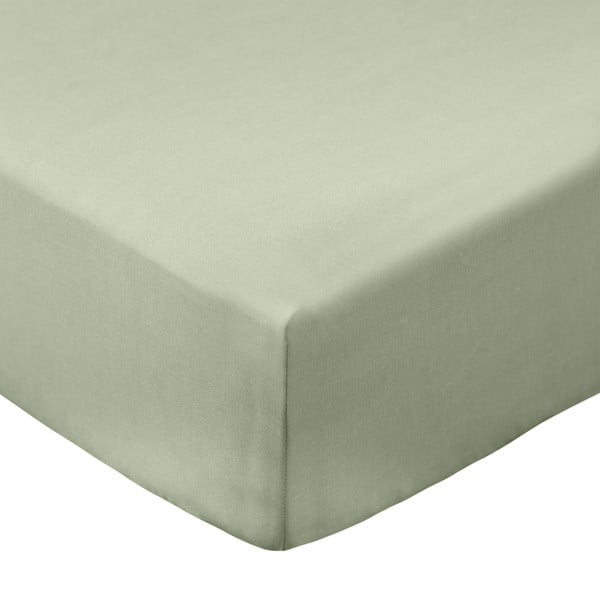 Lenzuolo con angoli verde in percalle di cotone 150x200 cm Cotton Percale – Bianca