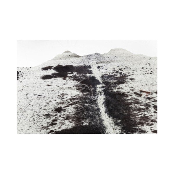 Tappeto in pelle bovina bianca e marrone, 190 x 150 cm Hide - Kare Design-image-3