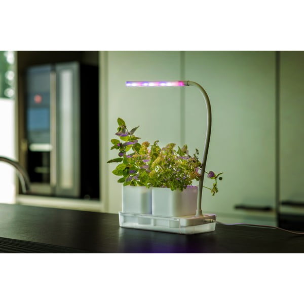 Grow room in metallo Lamp - Esschert Design-image-1