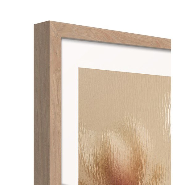 Dipinto stampato con cornice inclusa 50x70 cm Soft Magnolia – Styler-image-4