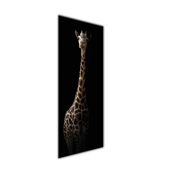 Immagine su tela, 50 x 125 cm Glas Animali Gira - Styler-image-1