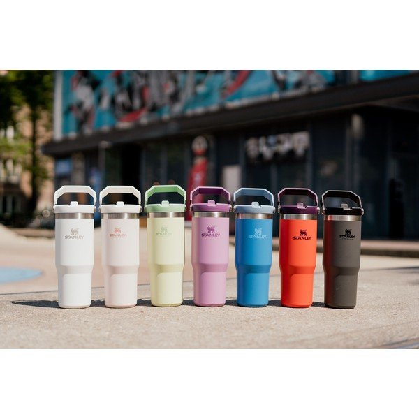 Thermos viola 890 ml - Stanley-image-1