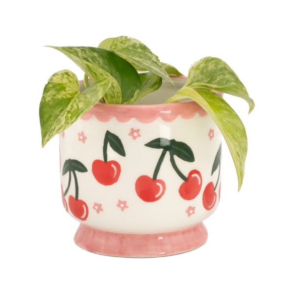 Coprivaso in ceramica ø 7,5 cm Fruit – Sass & Belle-image-1