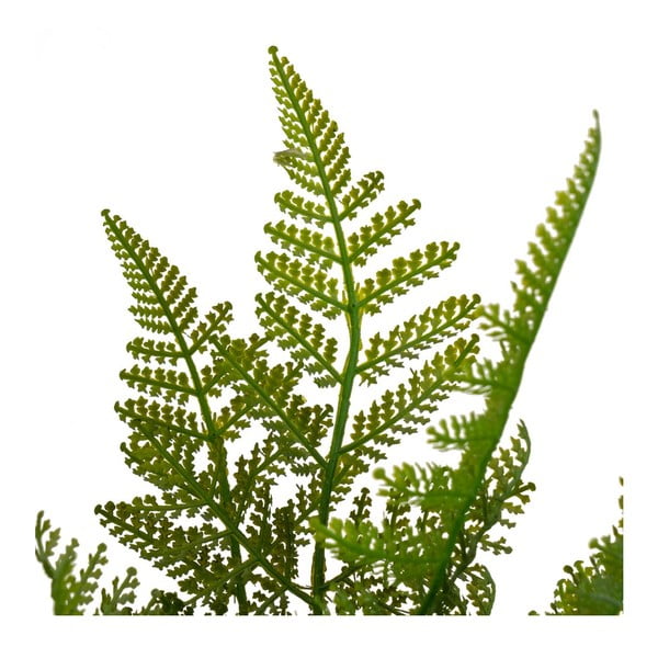 Felce artificiale (altezza 45 cm) - Casa Selección-image-2