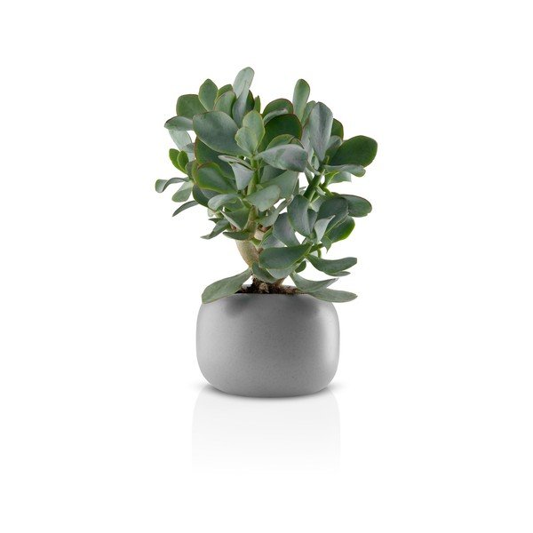 Coprivaso in ceramica - Eva Solo-image-2
