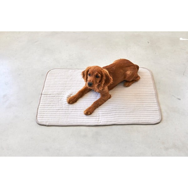 Coperta di cotone beige per cani 90x120 cm Onda Greige L - MiaCara-image-1