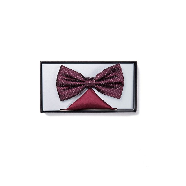 Set motýlku a kapesníčku Elegant