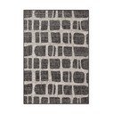 Tappeto da interno/esterno nero/color crema 200x300 cm Haringey Ruskin – Ted Baker