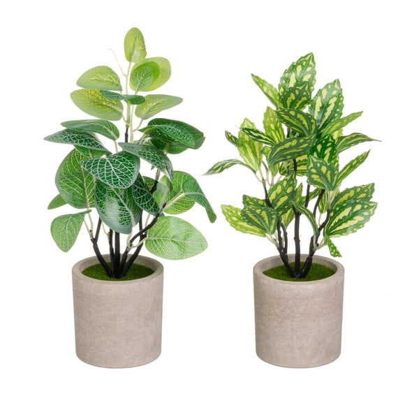 Set di piante finte 2 pz (altezza totale 28 cm) – Casa Selección