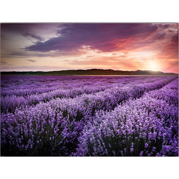 Dipinto 100x70 cm Lavender Field - Wallity