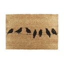 Zerbino in fibre di cocco 40x60 cm Birds On a Wire – Artsy Doormats