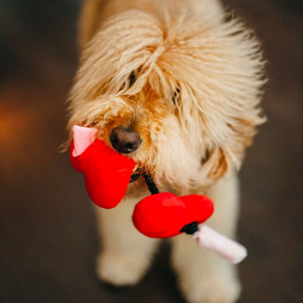 Giocattolo per cani Cuore - P.L.A.Y.-image-1