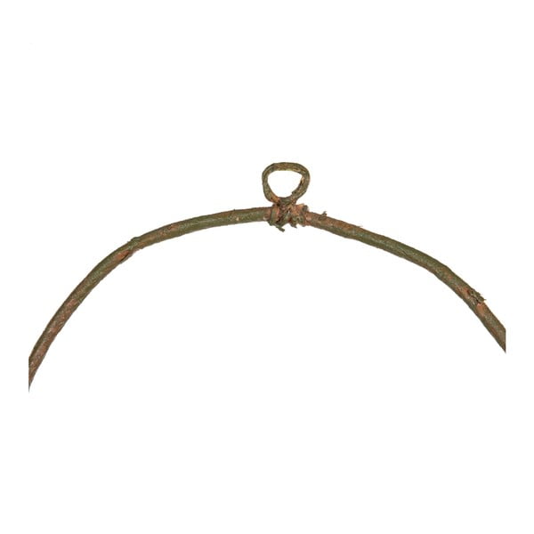 Ghirlanda di fiori  Magnolia - Ixia-image-1