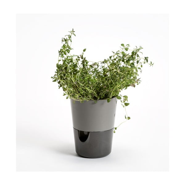 Vaso in plastica per erbe aromatiche/autoinnaffiante ø 11 cm Rosmarin - Plastia