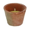 Candela profumata tempo di combustione 10 h Citronelle - Esschert Design