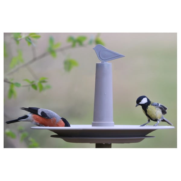 Mangiatoia per uccelli grigia e beige Finch - Plastia-image-1