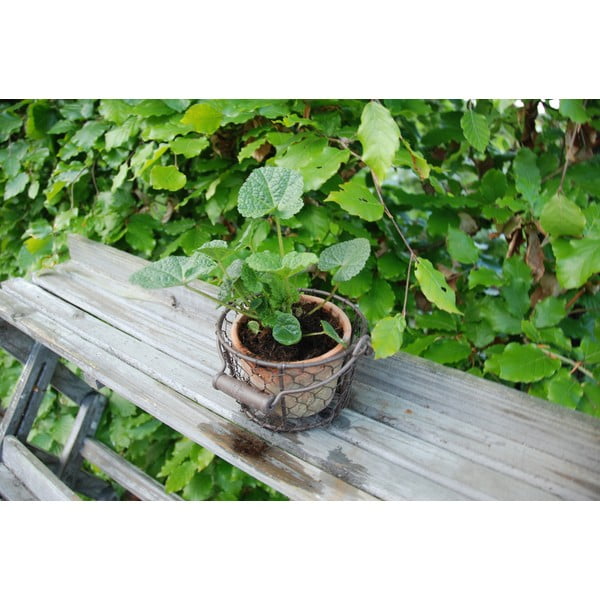 Vaso in terracotta ø 15 cm - Esschert Design-image-3