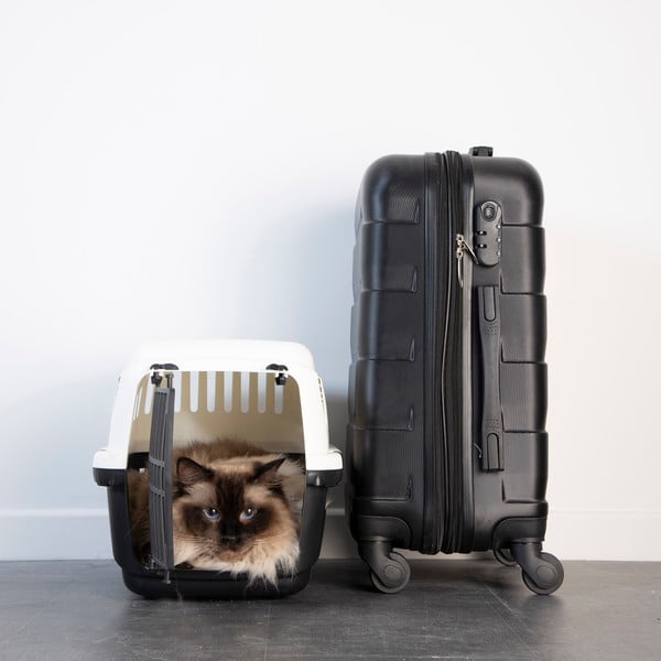 Cassa per animali 31x46 cm - Love Story-image-1