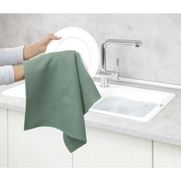 Strofinaccio in cotone 45x65 cm Tito – Wenko-image-4