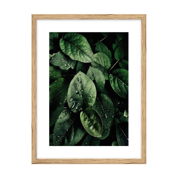 Poster 30x40 cm Leaves - knor