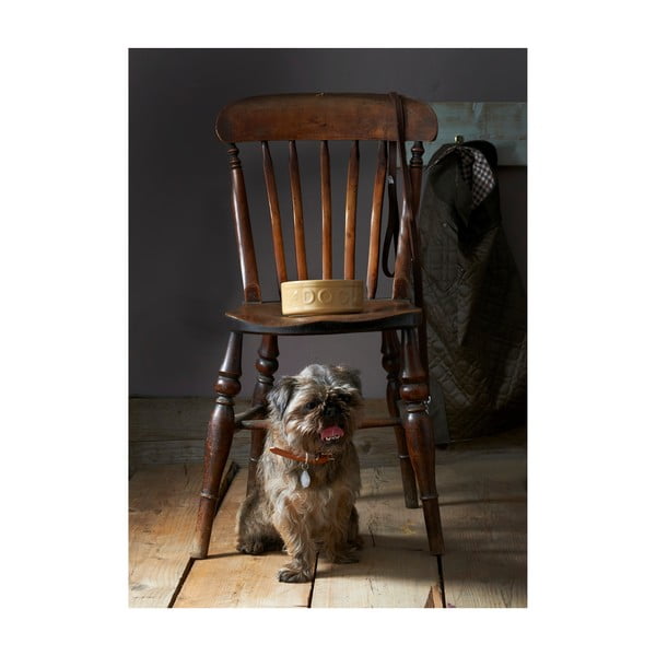 Ciotola per cani in gres, ø 25 cm Pet Cane Dog - Mason Cash-image-3