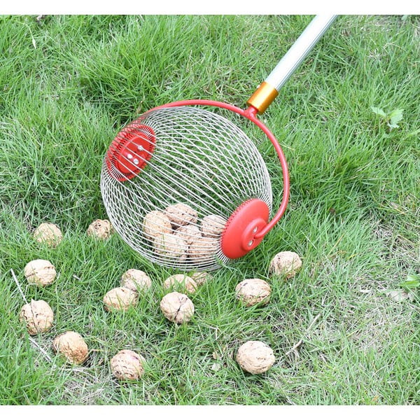 Coglifrutta - Garden Pleasure-image-3