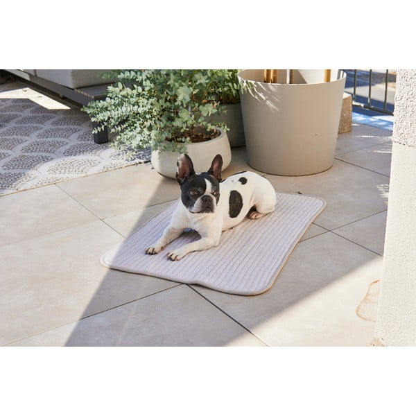 Coperta grigia in cotone per cani 75x100 cm Onda Pebble M - MiaCara-image-1