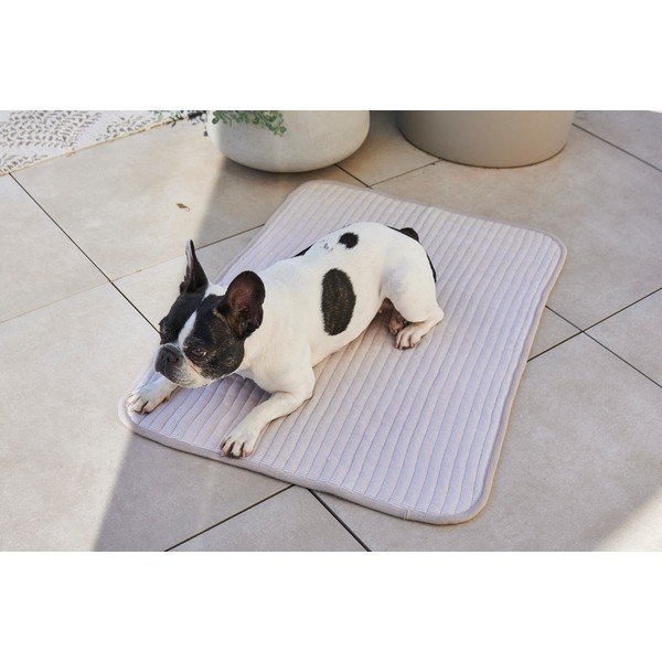 Coperta grigia in cotone per cani 75x100 cm Onda Pebble M - MiaCara-image-3