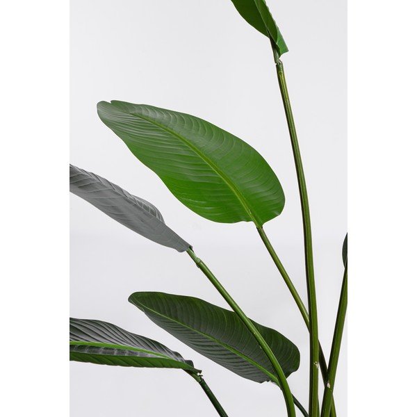 Fiore artificiale (altezza totale 185 cm) Sterilizia – Bizzotto-image-1