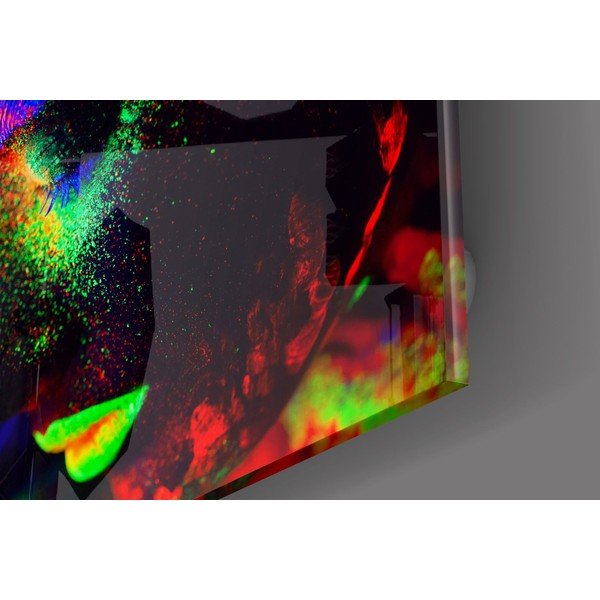 Pittura su vetro al neon - Insigne-image-2