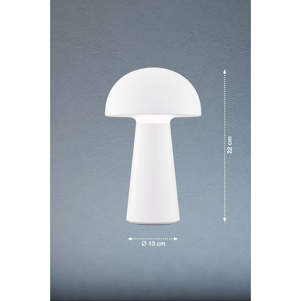 Lampada da tavolo dimmerabile a LED bianchi con sensore di movimento (altezza 22 cm) Viga - Fischer & Honsel-image-2