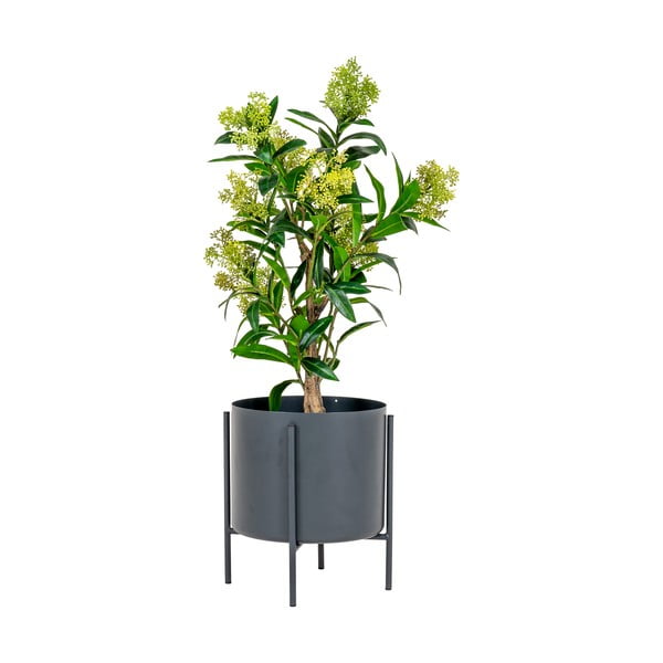 Pianta artificiale Skimmia - House Nordic-image-1