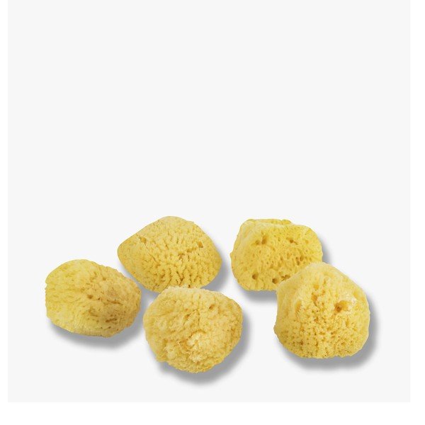 Spugne per la pulizia del viso in un set di 5 pezzi Ocean - Mette Ditmer Denmark