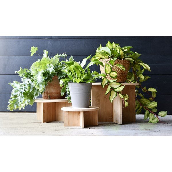 Supporto per fiori in bambù ø 25 cm (altezza totale 19,5 cm) – Esschert Design-image-2