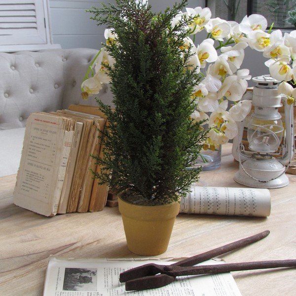 Dekorativní strom Orchidea Milano Cipresso