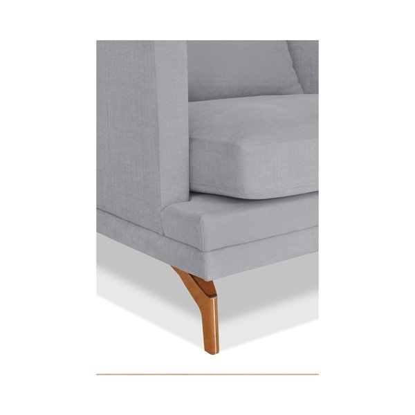 Šedá dvojmístná pohovka Windsor & Co. Sofas Jupiter-image-3