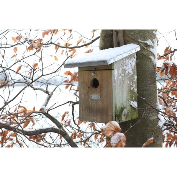 Cassetta di legno per cinciallegre - Esschert Design-image-3