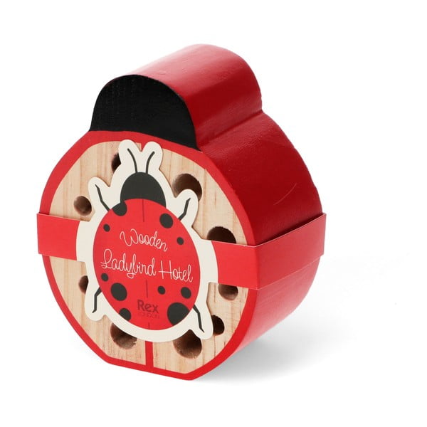 Giocattolo in legno coccinella Ladybird - Rex London-image-2