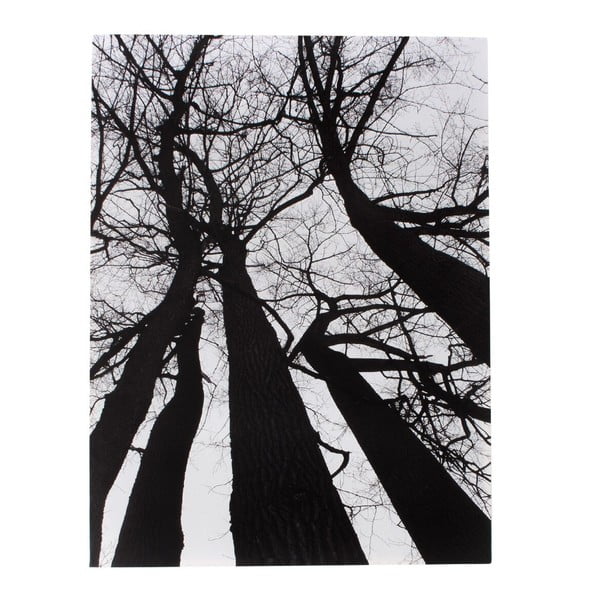 L'immagine su tela Albero d'inverno - Tomasucci