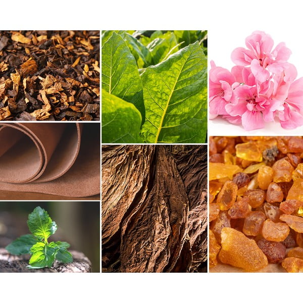 Candela di soia profumata tempo di combustione 60 h Tobacco&Leather/Oud&Bergamote - Privé Home-image-3